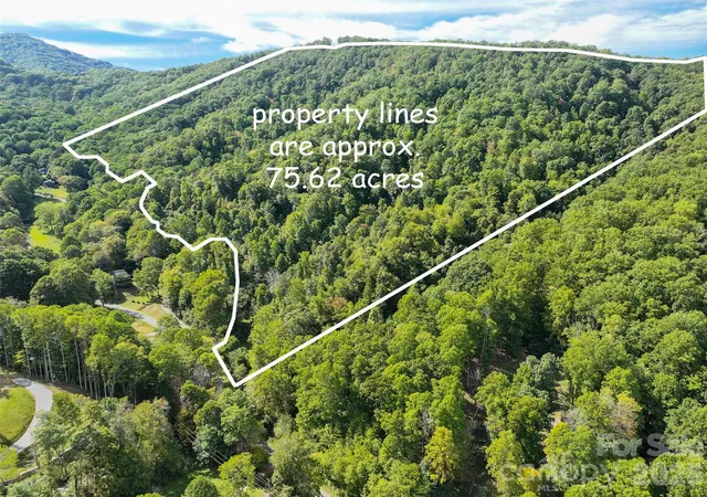 Land for sale at 000 Mauney Cvs Rd, Waynesville, NC 28786 | MLS# 4430737