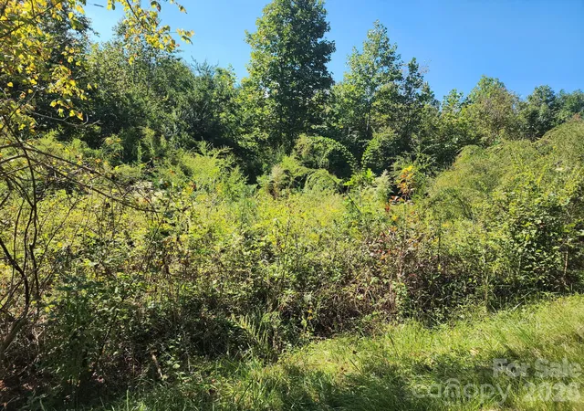 Photo 3 of Land for sale at 0 Freemantown Rd, Lake Lure, NC 28746 | MLS# 4430771 | Listing updated on 2026-10-03