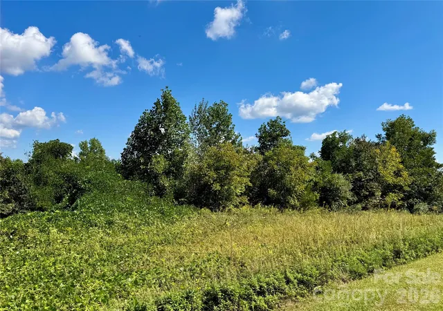 Photo 4 of Land for sale at 0 Freemantown Rd, Lake Lure, NC 28746 | MLS# 4430771 | Listing updated on 2026-10-03