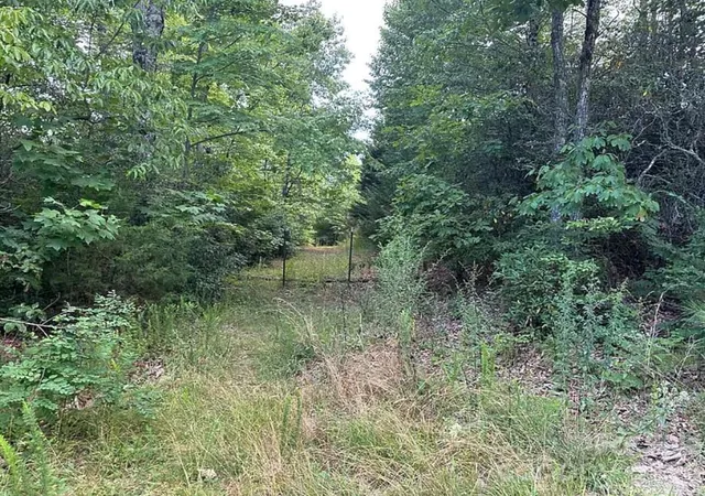 Photo 4 of Land for sale at 45 Autumn View Dr, Hendersonville, NC 28792 | MLS# 4430871 | Listing updated on 2026-10-06