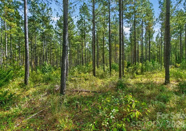 Photo 3 of Land for sale at 0000 Garvin Rd #1, Mc Connells, SC 29726 | MLS# 4430895 | Listing updated on 2026-10-06