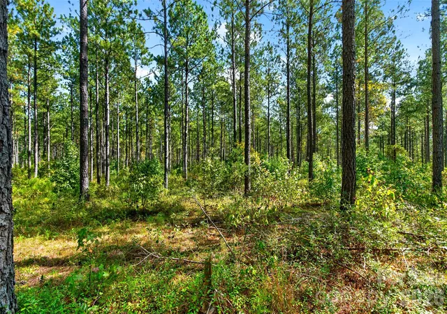 Photo 4 of Land for sale at 0000 Garvin Rd #1, Mc Connells, SC 29726 | MLS# 4430895 | Listing updated on 2026-10-06