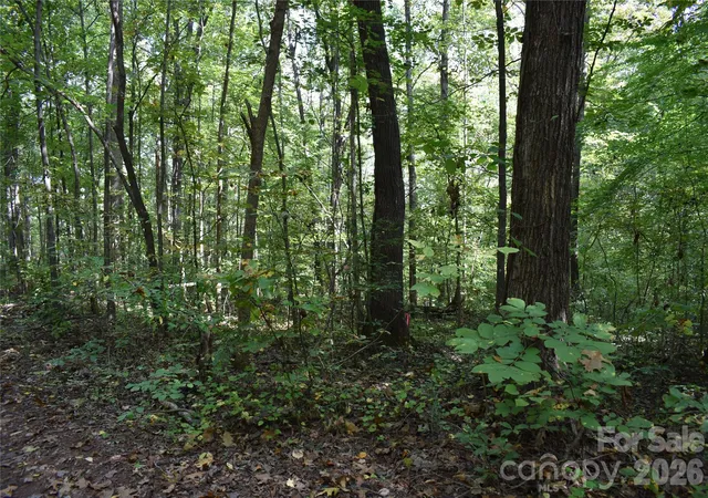 Photo 1 of Land for sale at #167 Rolling Rd, Lincolnton, NC 28092 | MLS# 4430925 | Listing updated on 2026-10-03