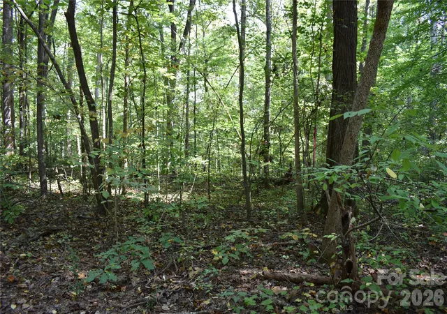 Photo 2 of Land for sale at #167 Rolling Rd, Lincolnton, NC 28092 | MLS# 4430925 | Listing updated on 2026-10-03