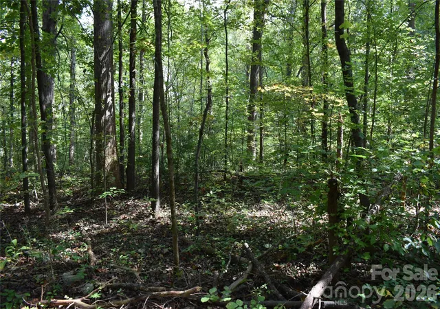 Photo 3 of Land for sale at #167 Rolling Rd, Lincolnton, NC 28092 | MLS# 4430925 | Listing updated on 2026-10-03