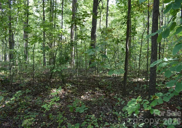 Photo 4 of Land for sale at #167 Rolling Rd, Lincolnton, NC 28092 | MLS# 4430925 | Listing updated on 2026-10-03