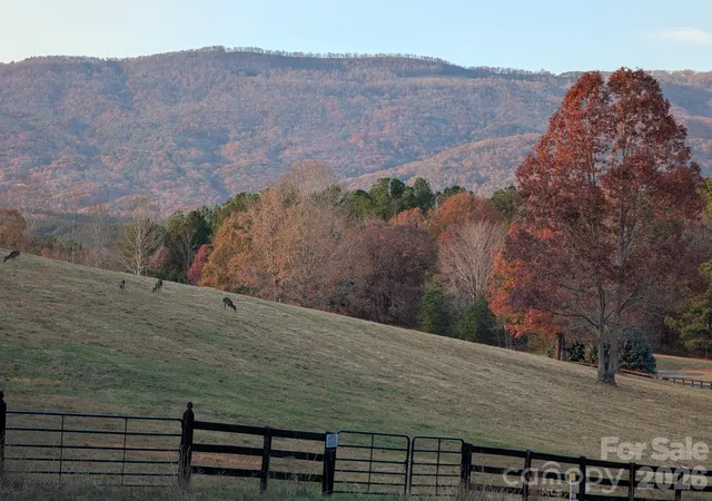 Photo 3 of Land for sale at 0 River Park Ln, Mill Spring, NC 28756 | MLS# 4431016 | Listing updated on 2026-10-07