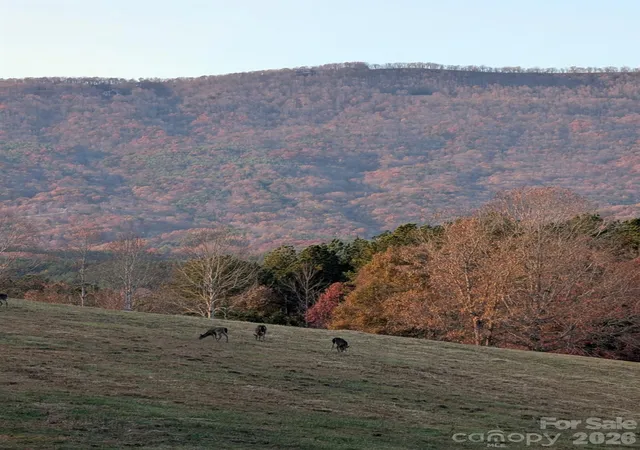 Photo 3 of Land for sale at 0 River Park Ln, Mill Spring, NC 28756 | MLS# 4431016 | Listing updated on 2026-10-07