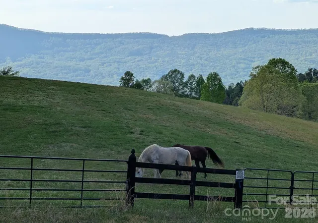 Photo 4 of Land for sale at 0 River Park Ln, Mill Spring, NC 28756 | MLS# 4431016 | Listing updated on 2026-10-07