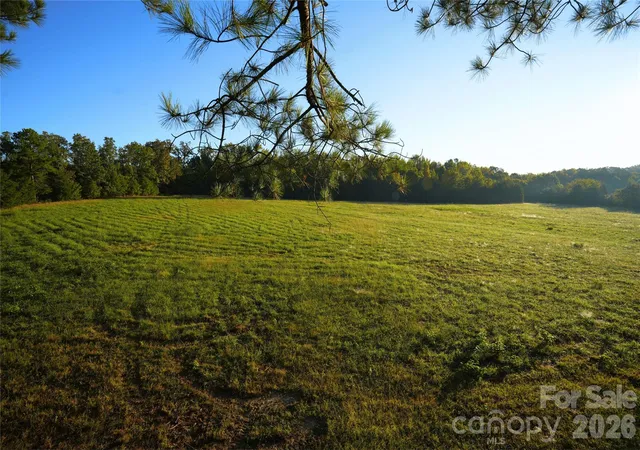 Land for sale at 2233 Rodman Rd, Chester, SC 29706 | MLS# 4431025