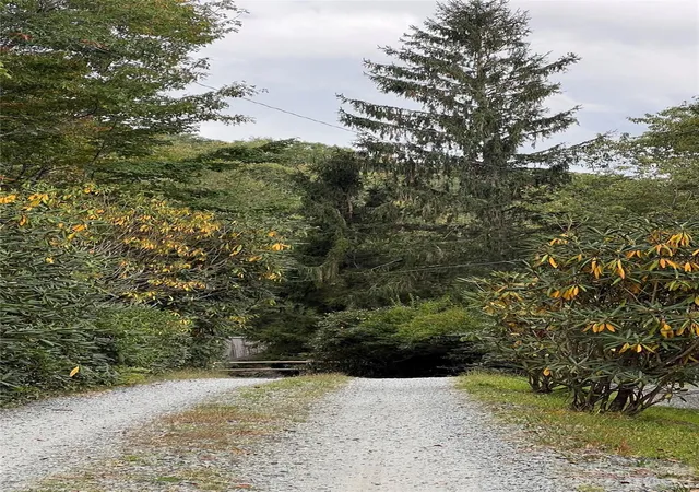 Photo 1 of Land for sale at 0000 Forest Ln, Blowing Rock, NC 28605 | MLS# 4431046 | Listing updated on 2026-10-03