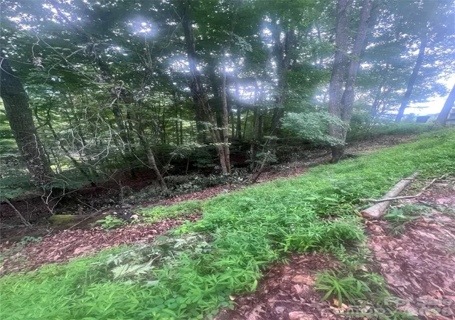 Photo 3 of Land for sale at 0000 Forest Ln, Blowing Rock, NC 28605 | MLS# 4431046 | Listing updated on 2026-10-03