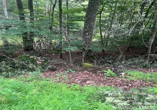 Photo 4 of Land for sale at 0000 Forest Ln, Blowing Rock, NC 28605 | MLS# 4431046 | Listing updated on 2026-10-03