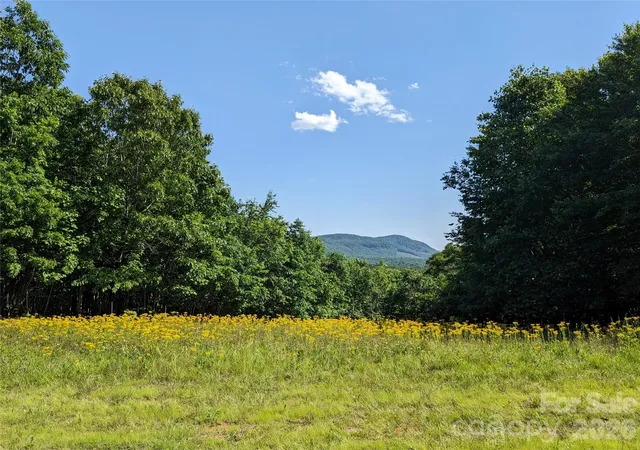 Photo 1 of Land for sale at 0 Stratford Dr #78, Bostic, NC 28018 | MLS# 4431053 | Listing updated on 2026-10-04