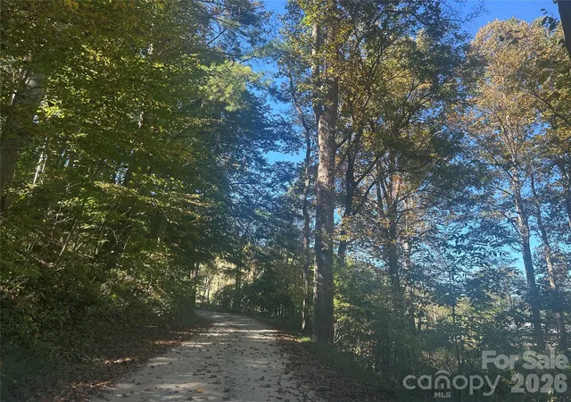 Photo 1 of Land for sale at 00 Split Pine Cvs, Clyde, NC 28721 | MLS# 4431072 | Listing updated on 2026-10-05