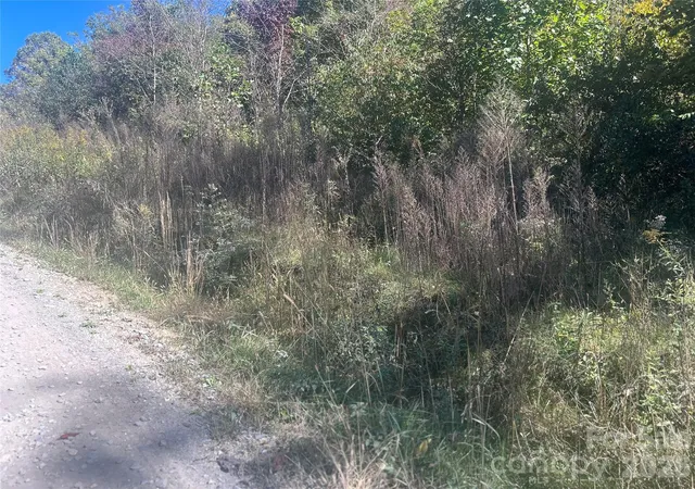 Photo 3 of Land for sale at 00 Split Pine Cvs, Clyde, NC 28721 | MLS# 4431072 | Listing updated on 2026-10-05