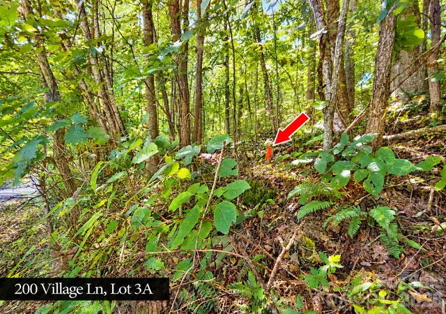 Photo 2 of Land for sale at 200 Village Ln #3A, Waynesville, NC 28786 | MLS# 4431099 | Listing updated on 2026-10-03