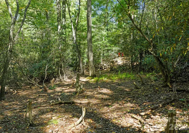 Photo 2 of Land for sale at 000 Davenport Rd, Spruce Pine, NC 28777 | MLS# 4431100 | Listing updated on 2026-10-10