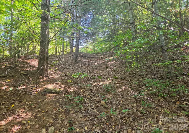 Photo 2 of Land for sale at 2650 Russell Gap Rd, Moravian Falls, NC 28654 | MLS# 4431127 | Listing updated on 2026-10-03