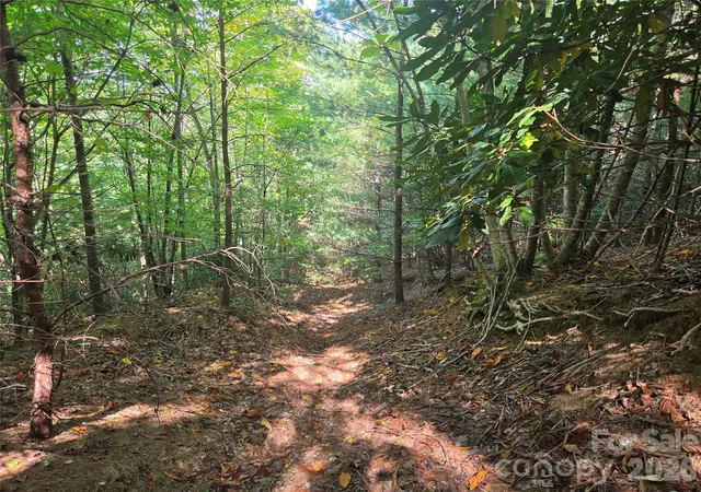 Photo 3 of Land for sale at 2650 Russell Gap Rd, Moravian Falls, NC 28654 | MLS# 4431127 | Listing updated on 2026-10-03