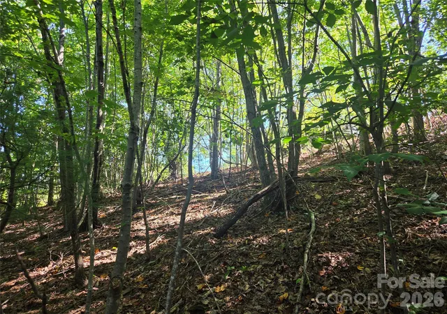 Photo 4 of Land for sale at 2650 Russell Gap Rd, Moravian Falls, NC 28654 | MLS# 4431127 | Listing updated on 2026-10-03