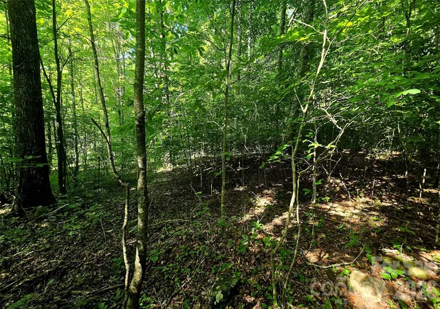 Photo 1 of Land for sale at Lot 11 Elk Crk Mountain Pkwy #11, Todd, NC 28684 | MLS# 4431179 | Listing updated on 2026-10-03