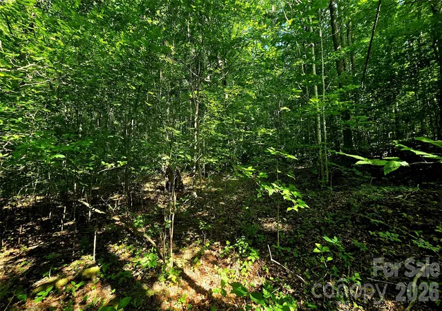 Photo 2 of Land for sale at Lot 11 Elk Crk Mountain Pkwy #11, Todd, NC 28684 | MLS# 4431179 | Listing updated on 2026-10-03