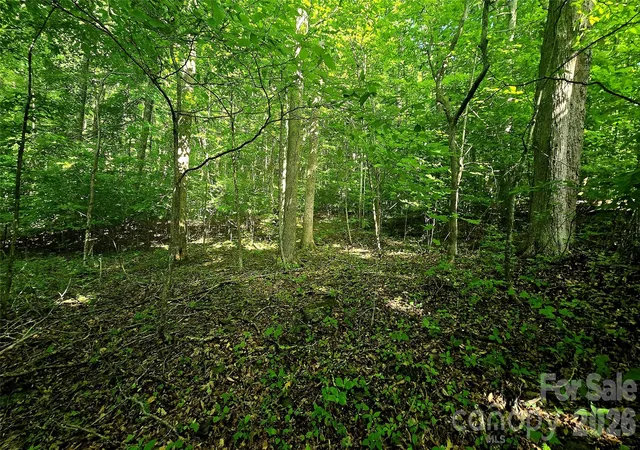 Photo 3 of Land for sale at Lot 11 Elk Crk Mountain Pkwy #11, Todd, NC 28684 | MLS# 4431179 | Listing updated on 2026-10-03