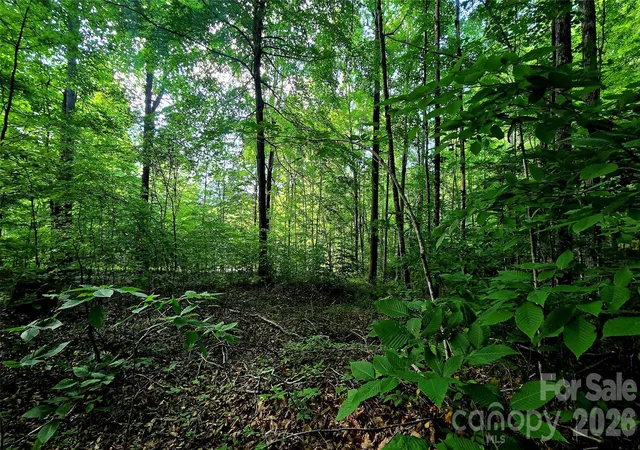 Photo 4 of Land for sale at Lot 11 Elk Crk Mountain Pkwy #11, Todd, NC 28684 | MLS# 4431179 | Listing updated on 2026-10-03