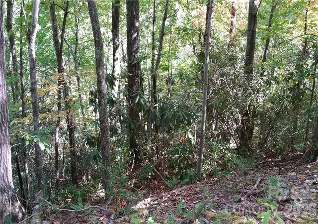 Photo 3 of Land for sale at 0 Grandview Dr #83, Lake Lure, NC 28746 | MLS# 4431189 | Listing updated on 2026-10-04