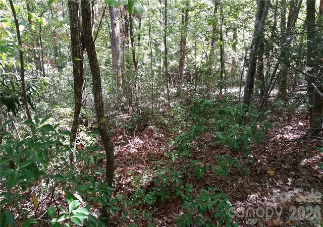 Photo 4 of Land for sale at 0 Grandview Dr #83, Lake Lure, NC 28746 | MLS# 4431189 | Listing updated on 2026-10-04