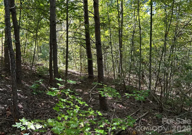 Photo 2 of Land for sale at 168 Robinwood Trl, Bostic, NC 28018 | MLS# 4431201 | Listing updated on 2026-10-03