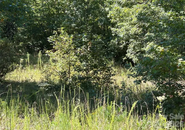 Photo 3 of Land for sale at 168 Robinwood Trl, Bostic, NC 28018 | MLS# 4431201 | Listing updated on 2026-10-03