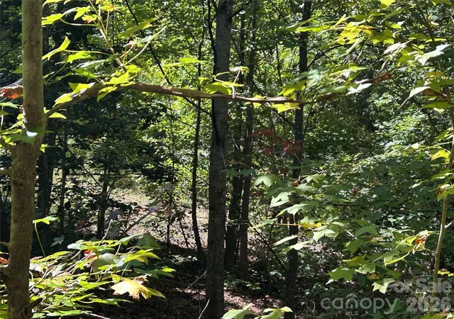 Photo 4 of Land for sale at 168 Robinwood Trl, Bostic, NC 28018 | MLS# 4431201 | Listing updated on 2026-10-03