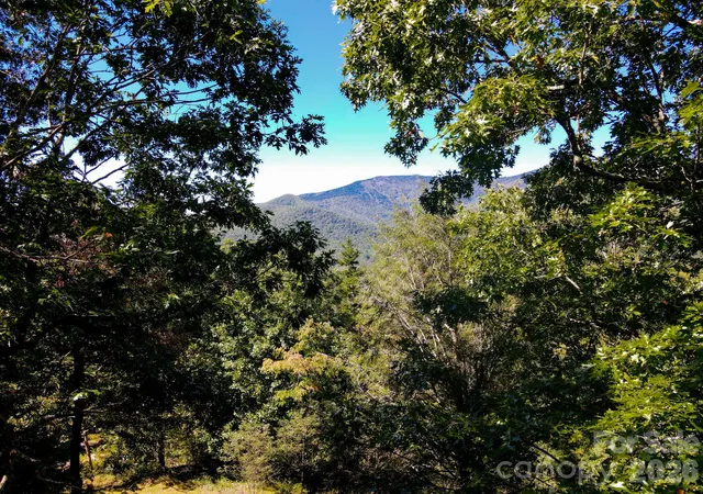 Photo 2 of Single family home for sale at 335 Mt Mitchell Dr, Burnsville, NC 28714 | MLS# 4431209 | Listing updated on 2026-10-04