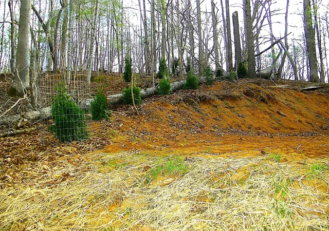 Photo 3 of Land for sale at 148 Fish Pond Ln, Burnsville, NC 28714 | MLS# 4431221 | Listing updated on 2026-10-05