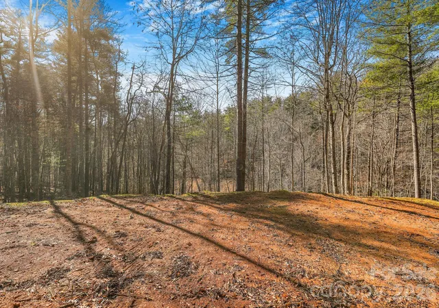 Photo 4 of Land for sale at 148 Fish Pond Ln, Burnsville, NC 28714 | MLS# 4431221 | Listing updated on 2026-10-05