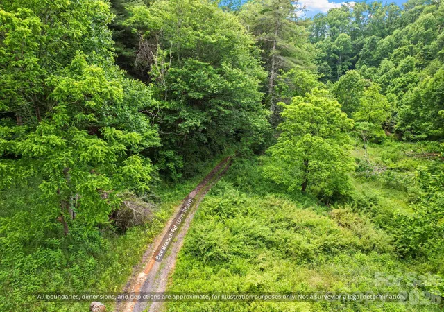 Photo 4 of Land for sale at 99999 Bee Branch Rd, Bakersville, NC 28705 | MLS# 4431321 | Listing updated on 2026-10-05