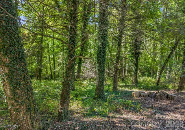 Photo 3 of Land for sale at 242 Summer Hvn Rd, Swannanoa, NC 28778 | MLS# 4431340 | Listing updated on 2026-10-06