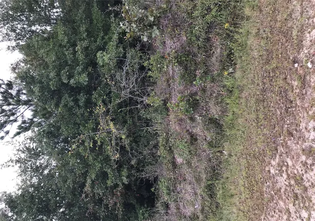 Photo 1 of Land for sale at 4090 Travellers Rd, Kershaw, SC 29067 | MLS# 4431428 | Listing updated on 2026-10-06