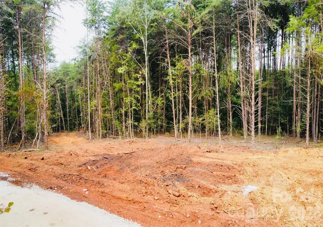 Photo 3 of Land for sale at 3542 Vilas Dr #1, Claremont, NC 28610 | MLS# 4431488 | Listing updated on 2026-10-05
