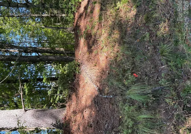 Photo 3 of Land for sale at Tbd U24 Lot19 Tlugvi Ct #19/24, Brevard, NC 28712 | MLS# 4431514 | Listing updated on 2026-10-07