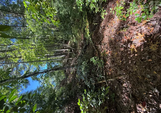 Photo 4 of Land for sale at Tbd U24 Lot19 Tlugvi Ct #19/24, Brevard, NC 28712 | MLS# 4431514 | Listing updated on 2026-10-07