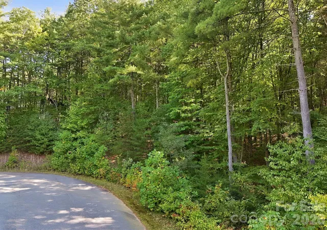 Photo 3 of Land for sale at 7 Spruce Tree Ct, Leicester, NC 28748 | MLS# 4431597 | Listing updated on 2026-10-07