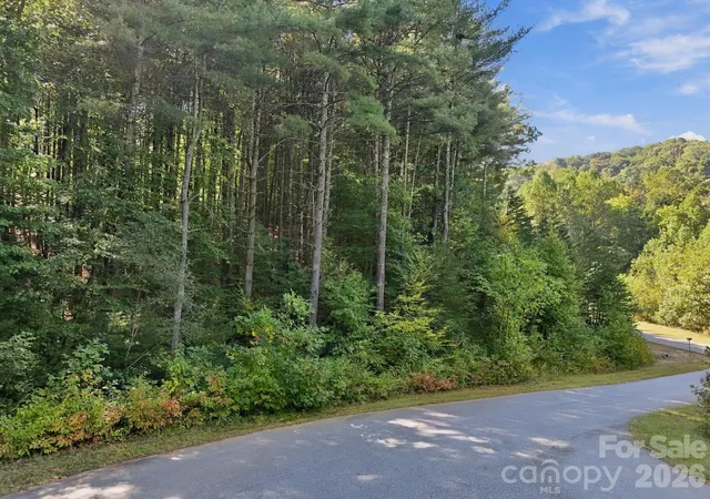 Photo 3 of Land for sale at 7 Spruce Tree Ct, Leicester, NC 28748 | MLS# 4431597 | Listing updated on 2026-10-07