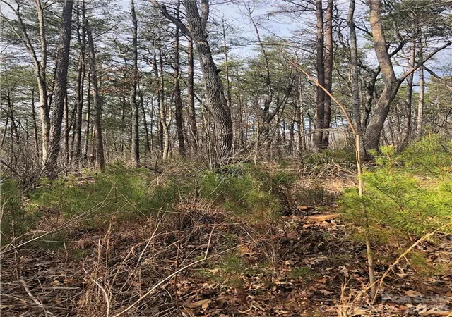 Photo 3 of Land for sale at 711 Boys Camp Rd #48, Lake Lure, NC 28746 | MLS# 4431606 | Listing updated on 2026-10-09