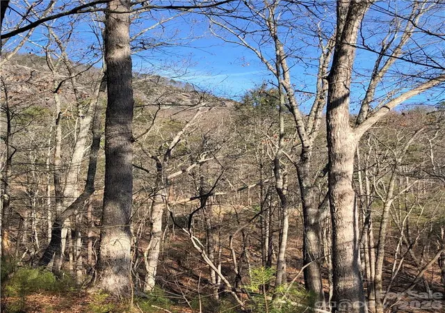 Photo 4 of Land for sale at 711 Boys Camp Rd #48, Lake Lure, NC 28746 | MLS# 4431606 | Listing updated on 2026-10-09