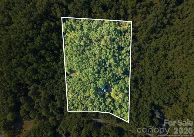 Photo 3 of Single family home for sale at 418 Piney Crk Dr, Lake Lure, NC 28746 | MLS# 4431626 | Listing updated on 2026-10-11
