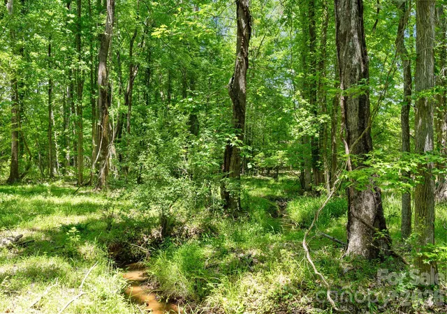 Photo 3 of Land for sale at 0000 Ashford Fry Rd, Carlisle, SC 29031 | MLS# 4431631 | Listing updated on 2026-10-19