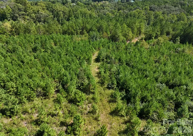 Photo 3 of Land for sale at 2125 Whiteside Rd, Mill Spring, NC 28756 | MLS# 4431764 | Listing updated on 2026-10-06